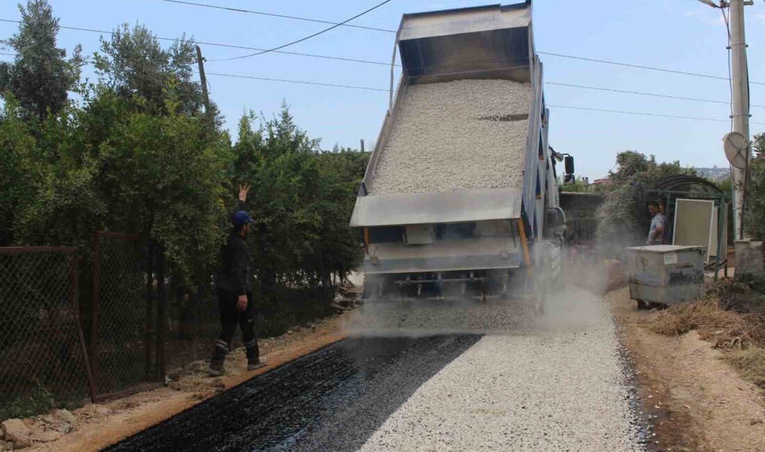 ANTALYA BÜYÜKŞEHİR BELEDİYESİ, FİNİKE’DE