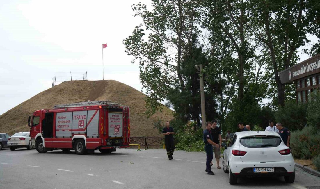 SAMSUN’DA FIRTINA DOLAYISIYLA KÖKÜNDEN