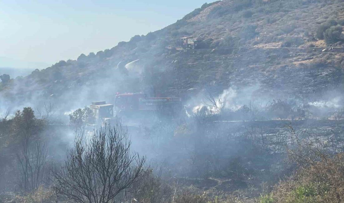 İZMİR’İN FOÇA İLÇESİNDE ARAÇTAN