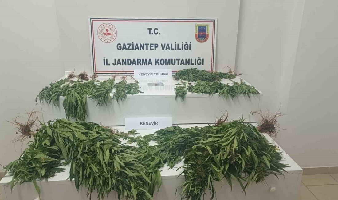 GAZİANTEP'TE JANDARMA EKİPLERİNİN 9