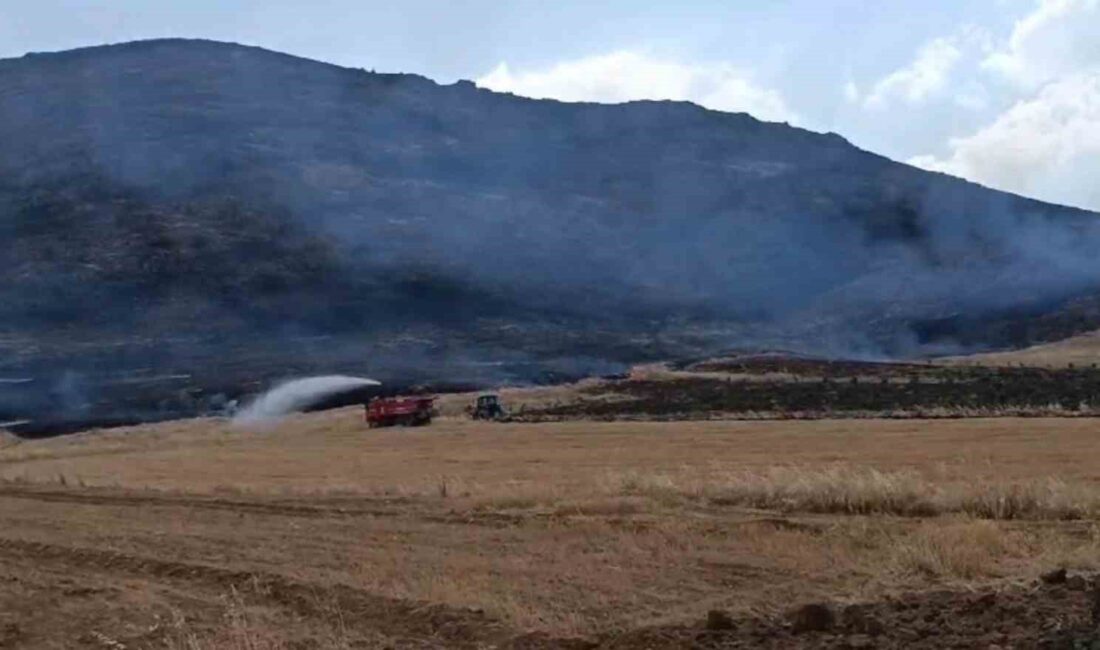 GAZİANTEP'İN İSLAHİYE İLÇESİNDE ÇIKAN