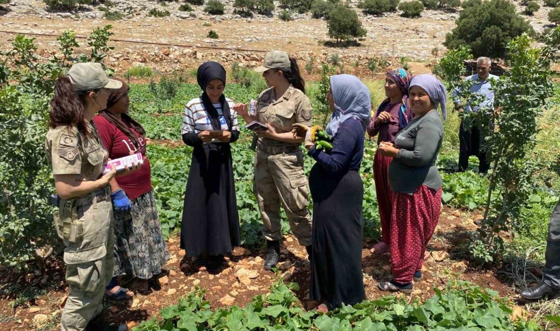 GAZİANTEP'TE JANDARMA KADES UYGULAMASINI