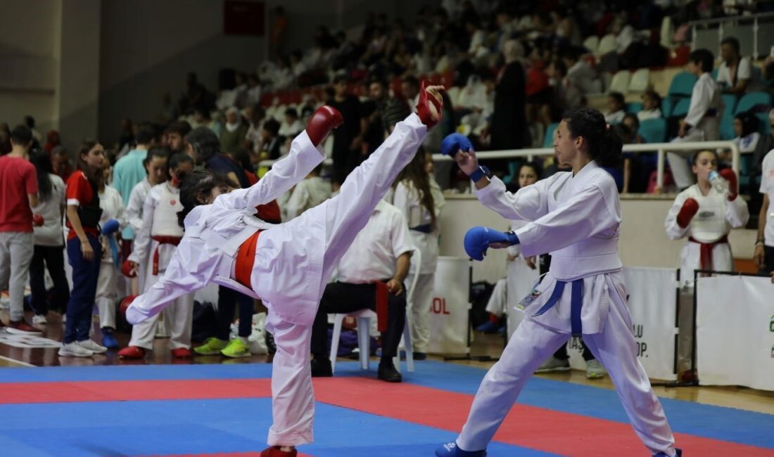 5. ULUSLARARASI GEMLİK KARATE