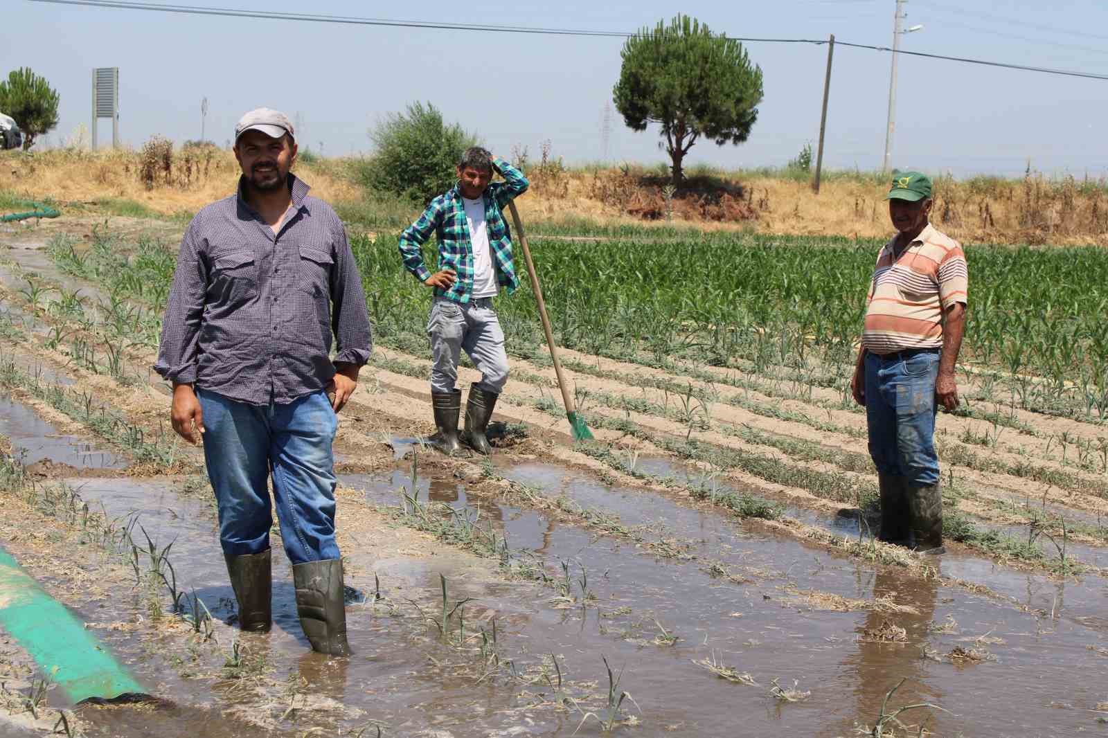 Gençlerin masa başı iş sevdası Türk tarımına alarm verdiriyor