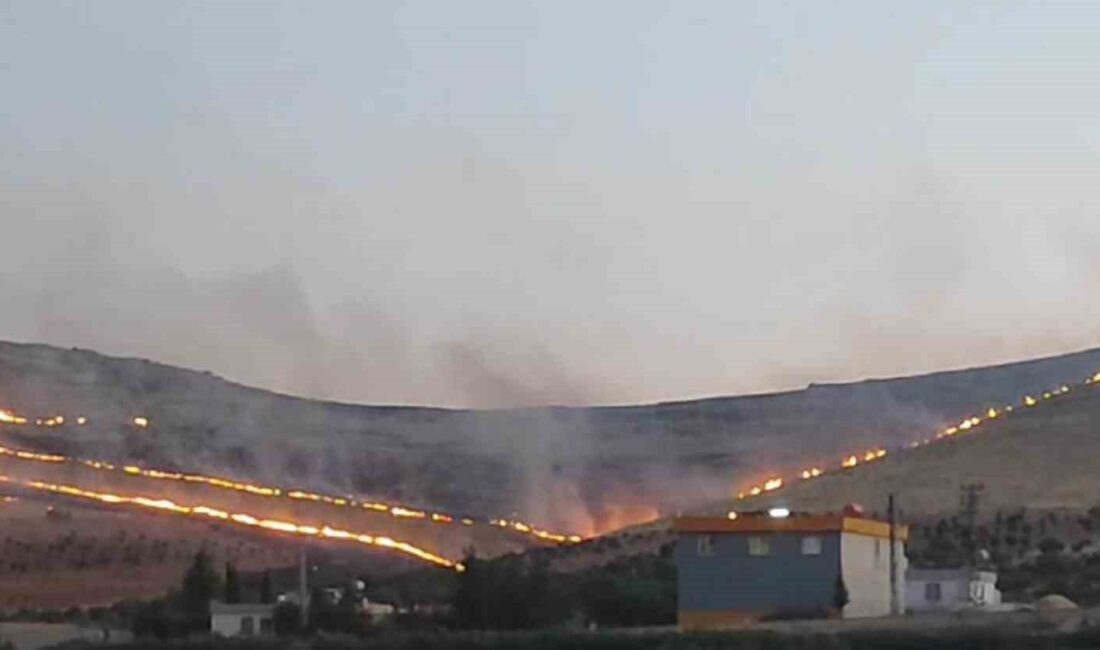 ŞANLIURFA'DA GÖBEKLİTEPE YAKINLARINDAKİ DAĞLIK