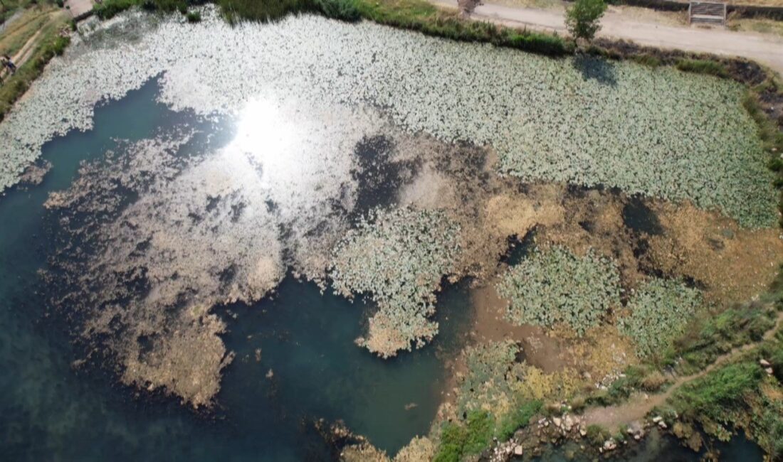 KAHRAMANMARAŞ’IN PAZARCIK İLÇESİNDE BULUNAN