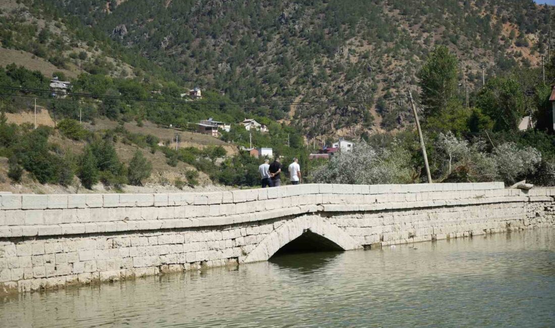 GÜMÜŞHANE’DE TORUL İLÇE MERKEZİ