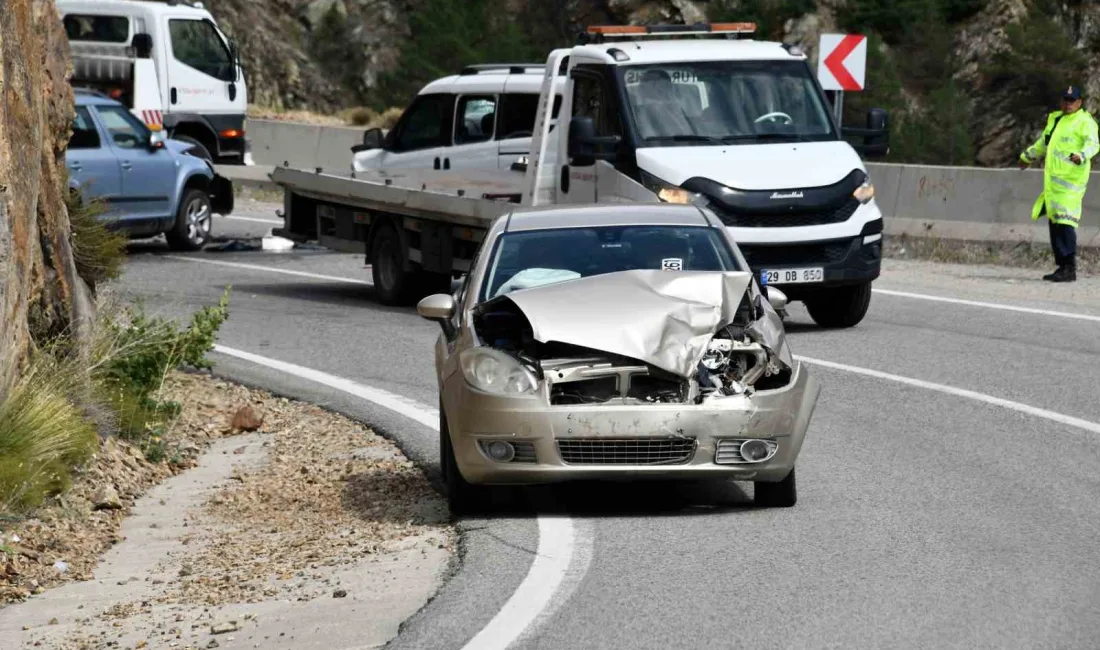 GÜMÜŞHANE-GİRESUN KARAYOLUNUN BUDAK KÖYÜ