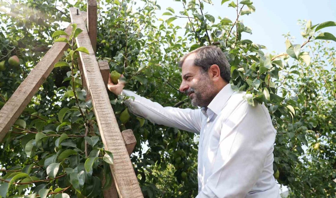 GÜRSU’YA BAĞLI İĞDİR KÖYÜ’NDE