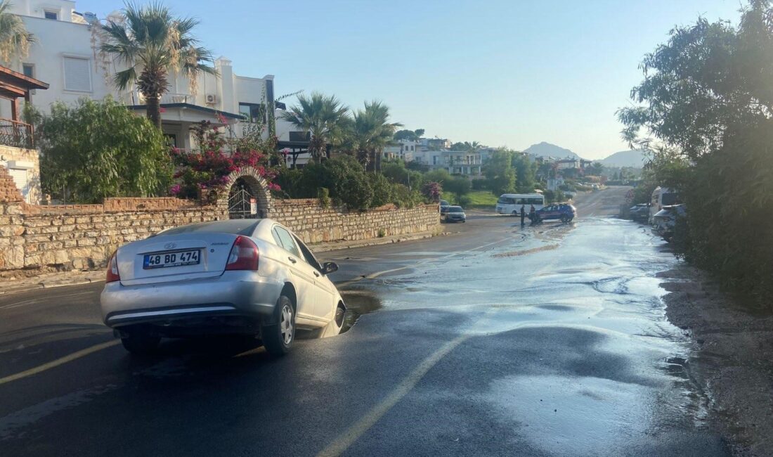 MUĞLA’NIN BODRUM İLÇESİNDE ANA