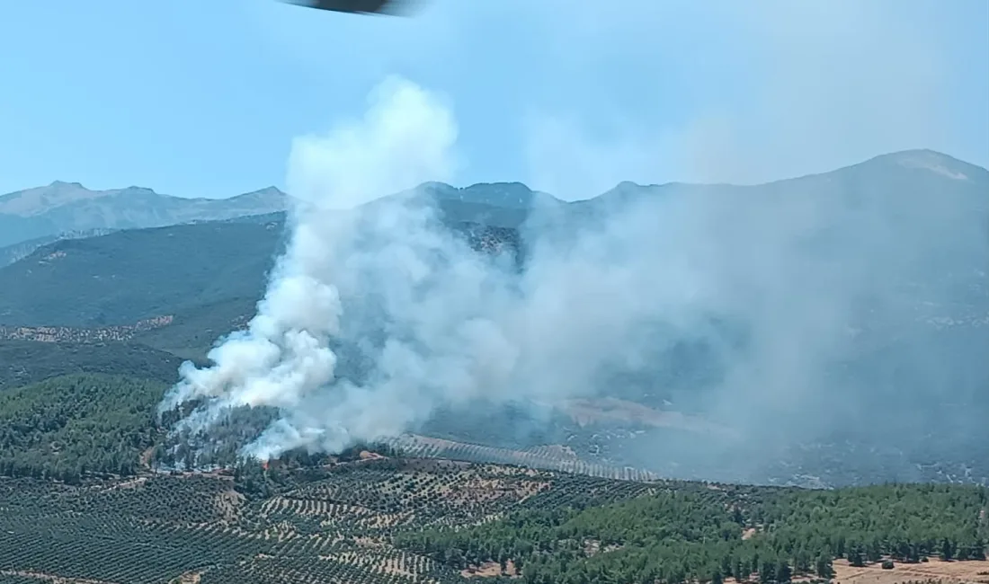 HATAY'IN HASSA İLÇESİNDE YAŞANAN