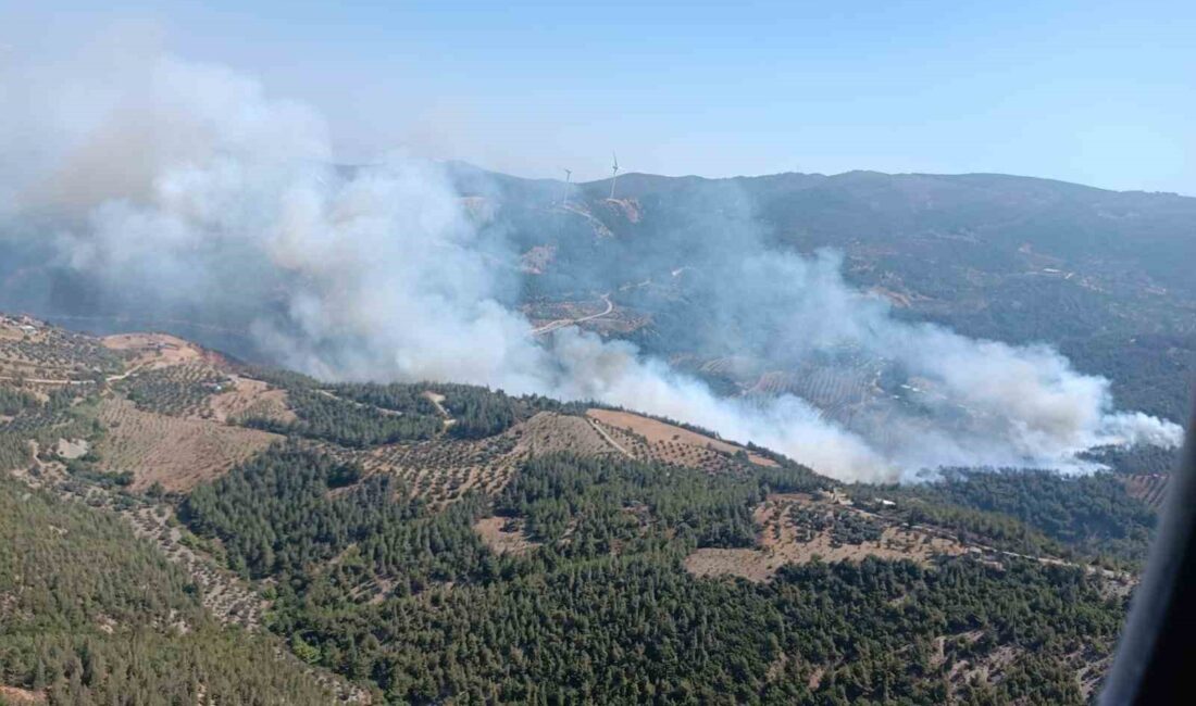 HATAY'IN BELEN İLÇESİNDE ÇIKAN