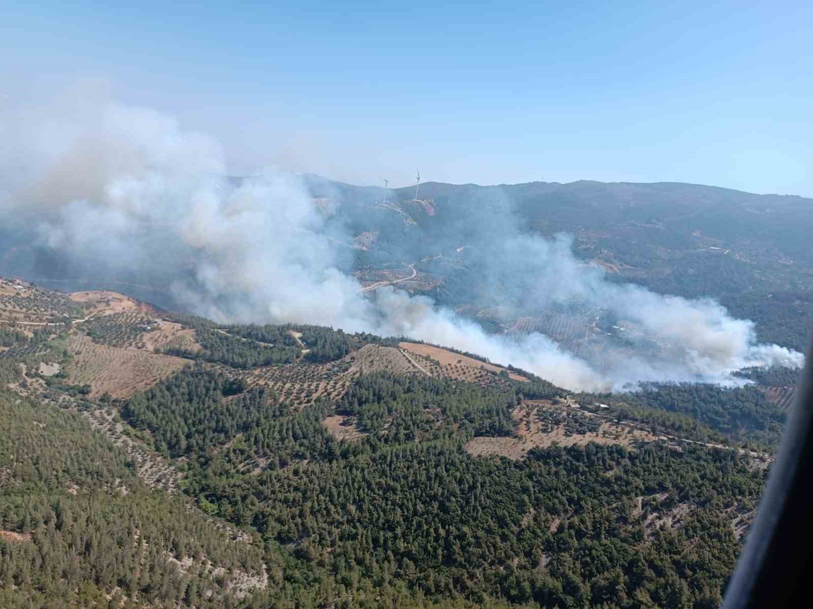 Hatay’da orman yangını