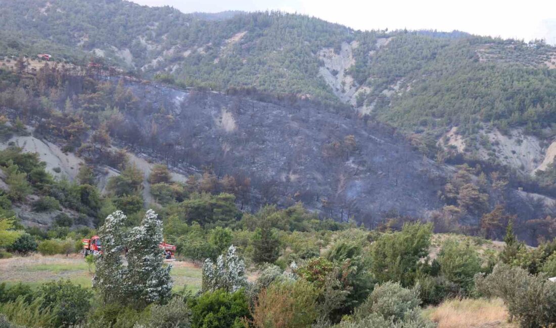 HATAY'IN BELEN İLÇESİNDE ÇIKAN