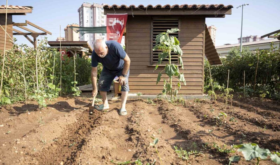 MERSİN BÜYÜKŞEHİR BELEDİYESİNİN TOROSLAR