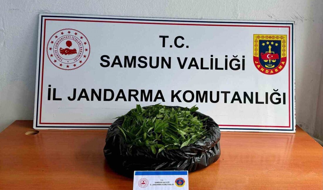 SAMSUN'DA JANDARMA EKİPLERİ BİR