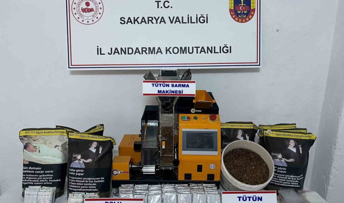 SAKARYA’NIN HENDEK VE AKYAZI