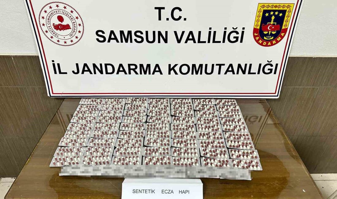 SAMSUN'DA JANDARMA EKİPLERİ TARAFINDAN