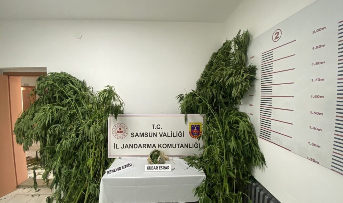 SAMSUN'DA JANDARMA EKİPLERİ TARAFINDAN