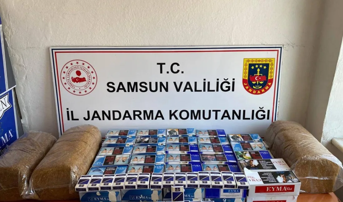 SAMSUN'DA JANDARMA EKİPLERİ TARAFINDAN