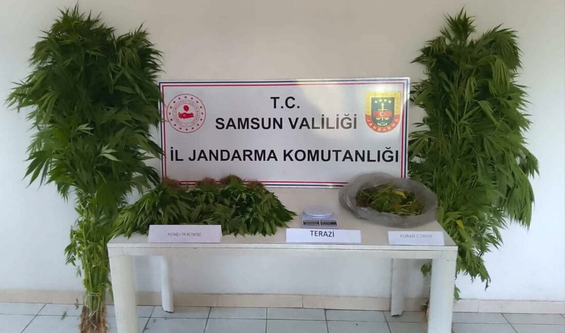 SAMSUN'DA JANDARMA EKİPLERİ TARAFINDAN