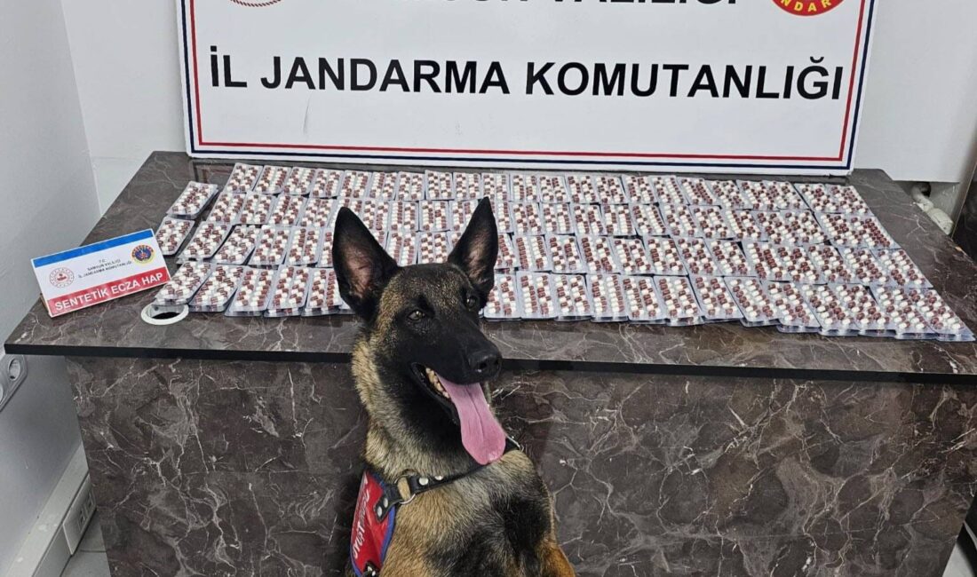 SAMSUN'DA JANDARMA EKİPLERİ TARAFINDAN