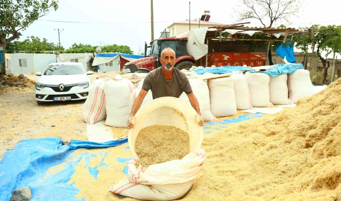 KAHRAMANMARAŞ KIRSALLARINDA YAŞAYAN KÖYLÜLERİN