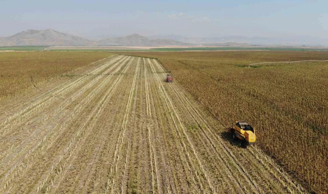 KAHRAMANMARAŞ’TA MODERN TARIM ALETLERİYLE