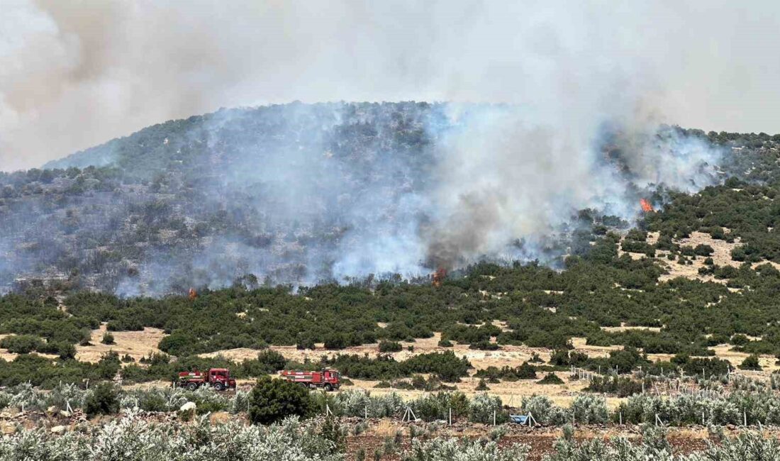 KAHRAMANMARAŞ'IN PAZARCIK İLÇESİNDE ANIZ