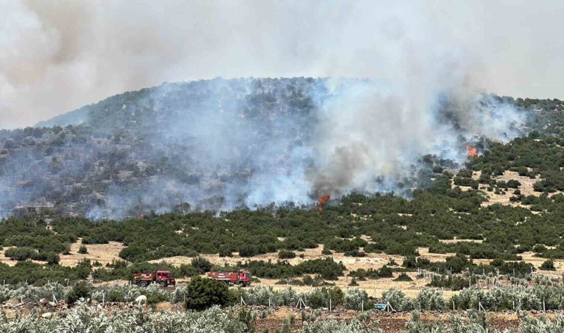 KAHRAMANMARAŞ'IN PAZARCIK İLÇESİNDE ANIZ