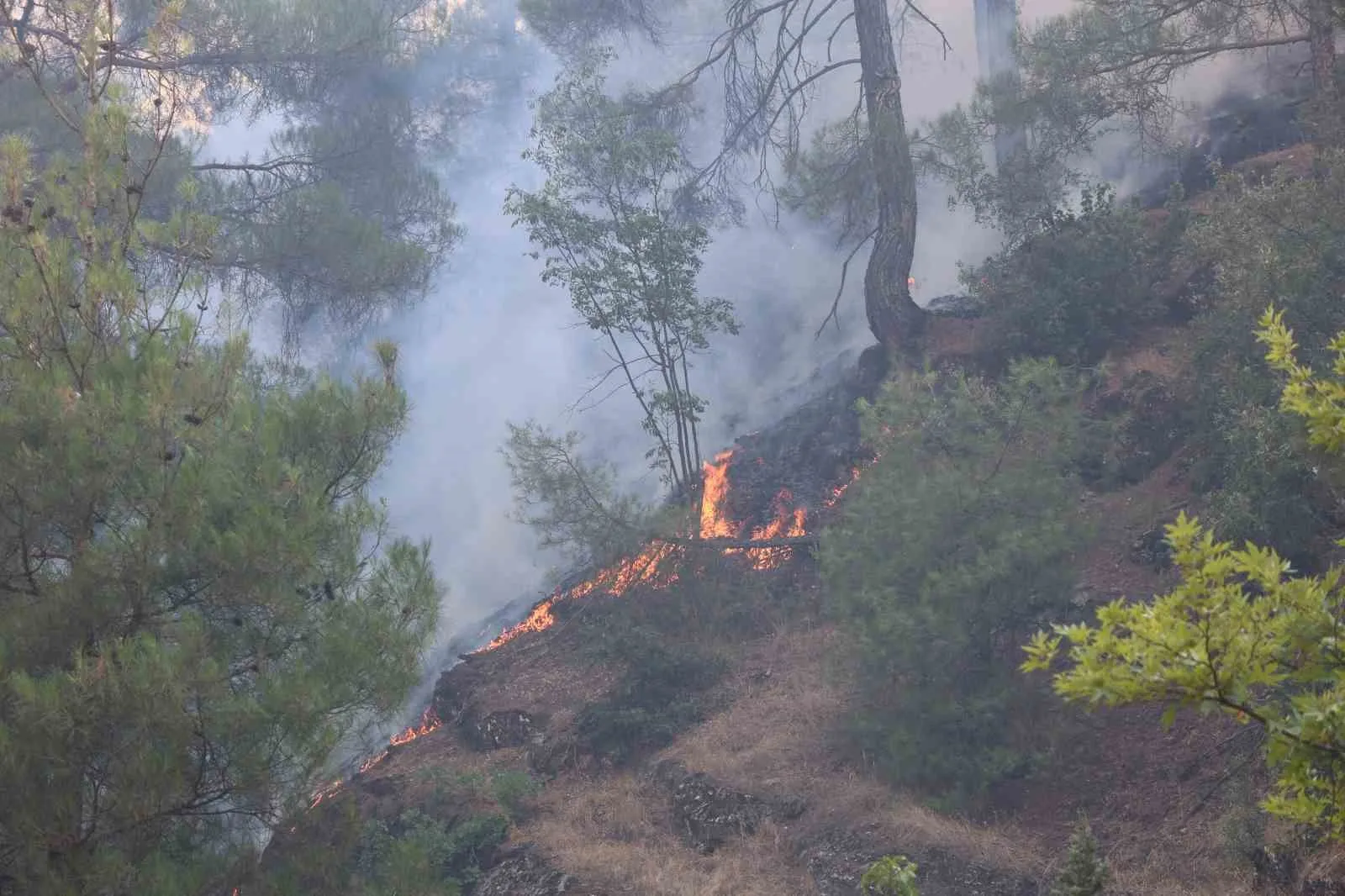 Kahramanmaraş’ta orman yangınına müdahale sürüyor