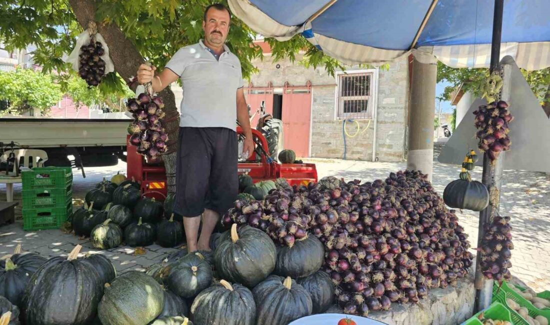 KAPIDAĞ MOR SOĞANI TEZGAHLARDA