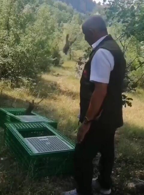 KARABÜK'TE DOĞA KORUMA VE