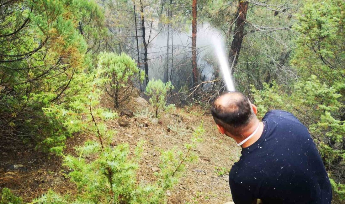 SARP KAYALIKLARDA OLMASI NEDENİYLE