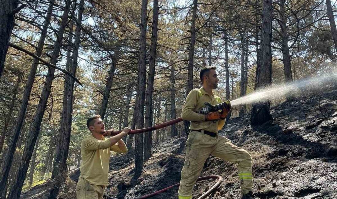 KARABÜK’TE DÜN ÇIKAN ORMAN