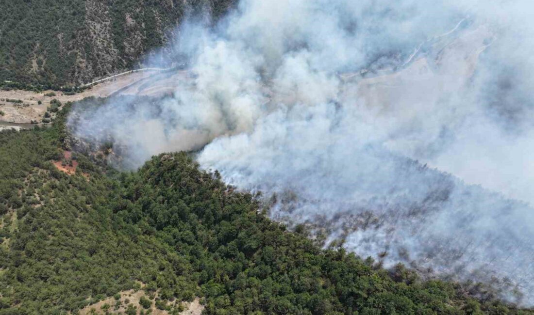 KARABÜK’ÜN OVACIK İLÇESİNDE YILDIRIM