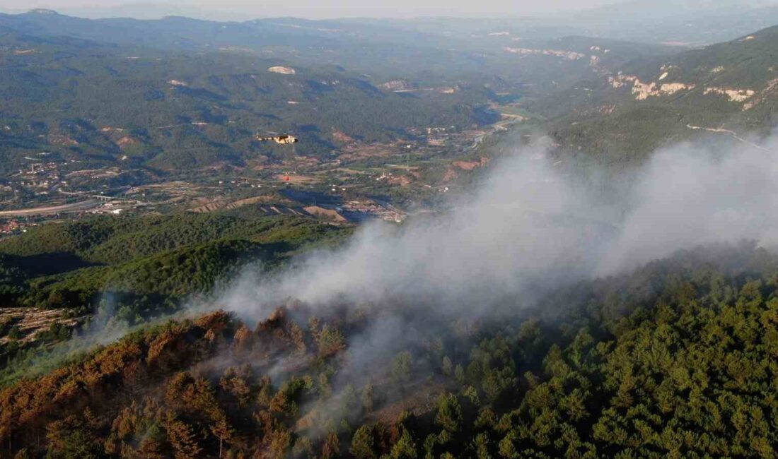 KARABÜK'TE ÇIKAN ORMAN YANGINI,