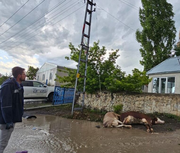 KARS’TA ELEKTRİK TELİ KOPTU.