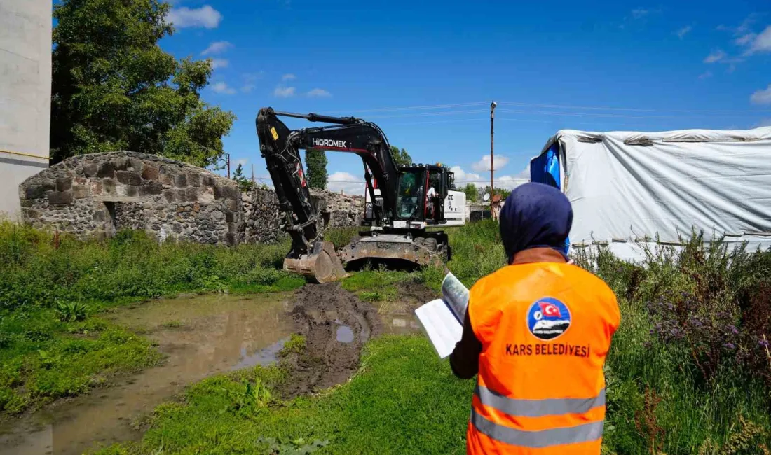 KARS’TA METRUK BİNALARIN YIKIMI