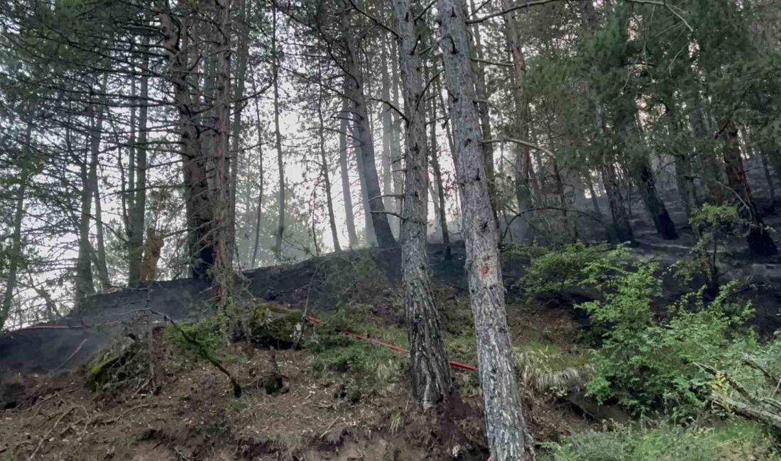 KASTAMONU’NUN İHSANGAZİ İLÇESİNDE YILDIRIM