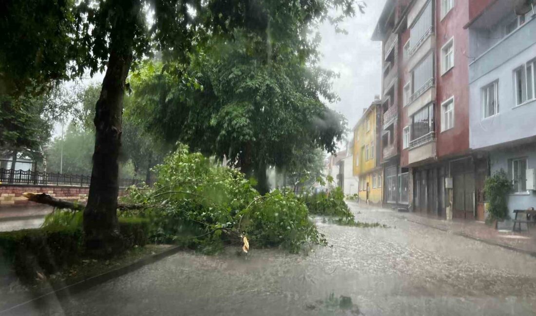 KASTAMONU'NUN TAŞKÖPRÜ VE SEYDİLER