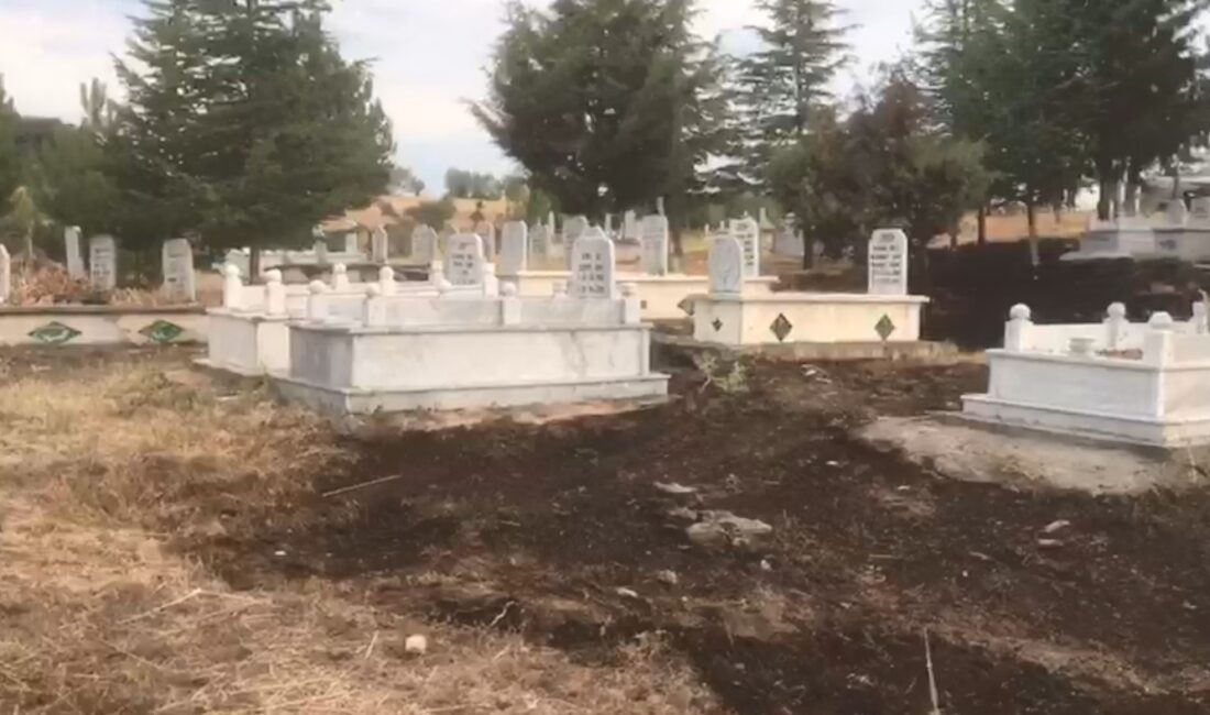 KASTAMONU'NUN TAŞKÖPRÜ İLÇESİNDE MEZARLIKTA