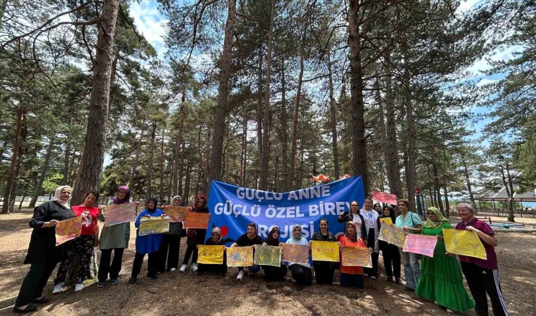 KASTAMONU ÜNİVERSİTESİ TARAFINDAN HAZIRLANAN