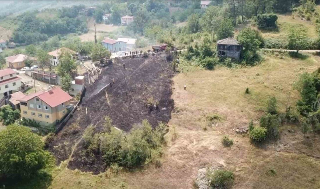 KASTAMONU’NUN ÇATALZEYTİN İLÇESİNDE TARLADA