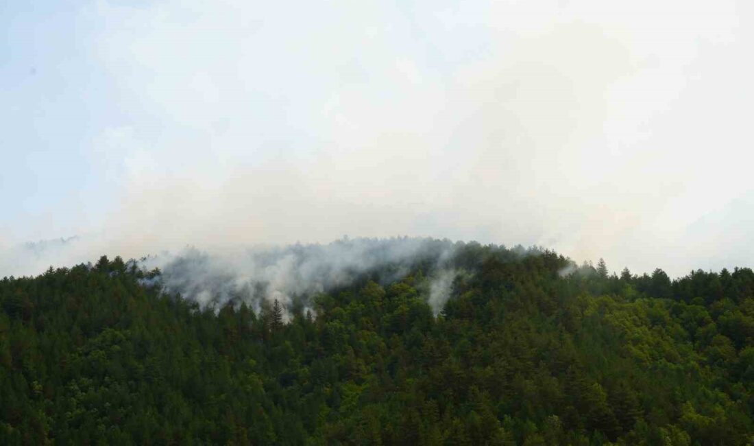 KASTAMONU'NUN İHSANGAZİ İLÇESİNDE YILDIRIM