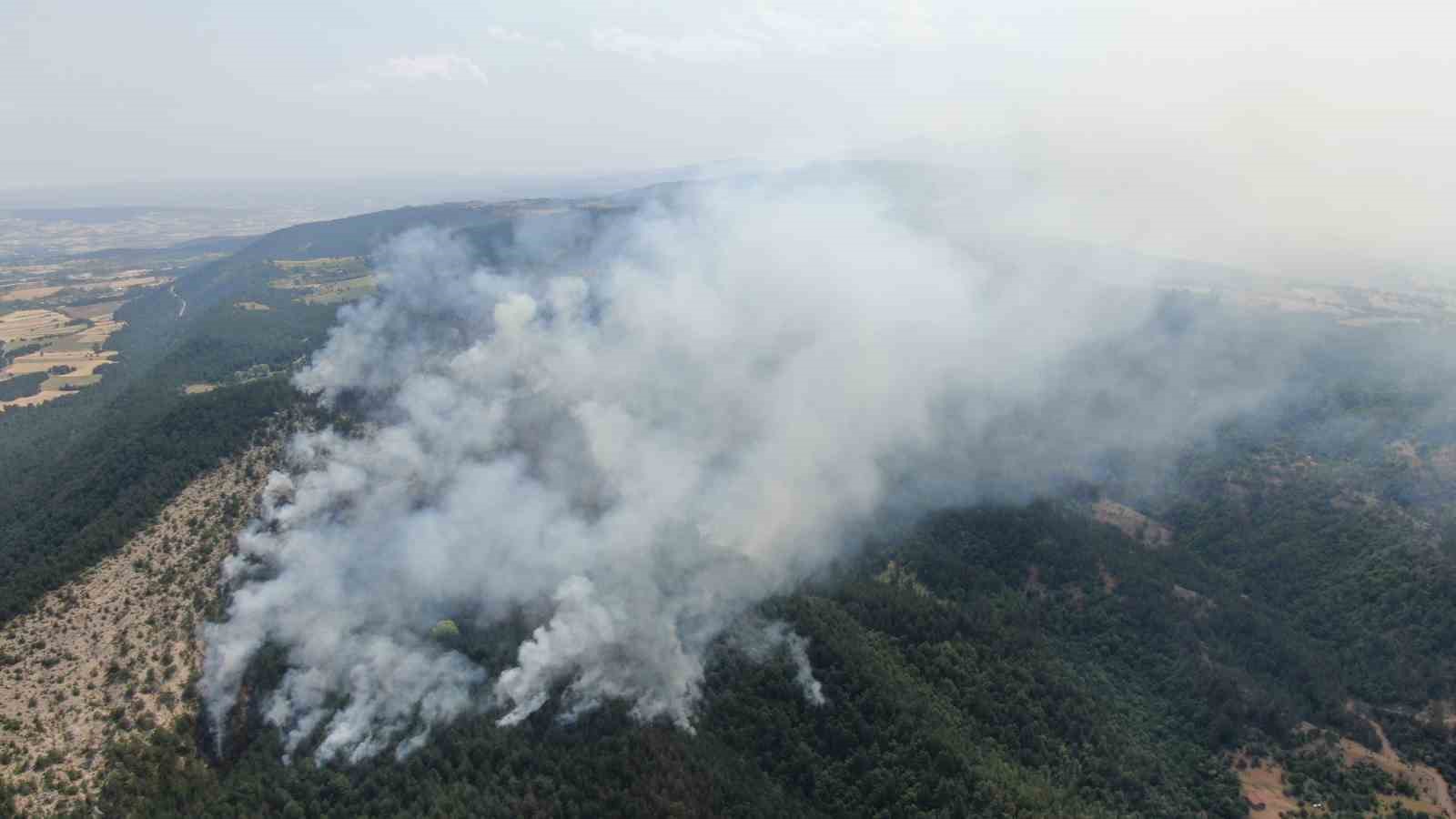 Kastamonu’daki orman yangını sürüyor: Havadan görüntülendi