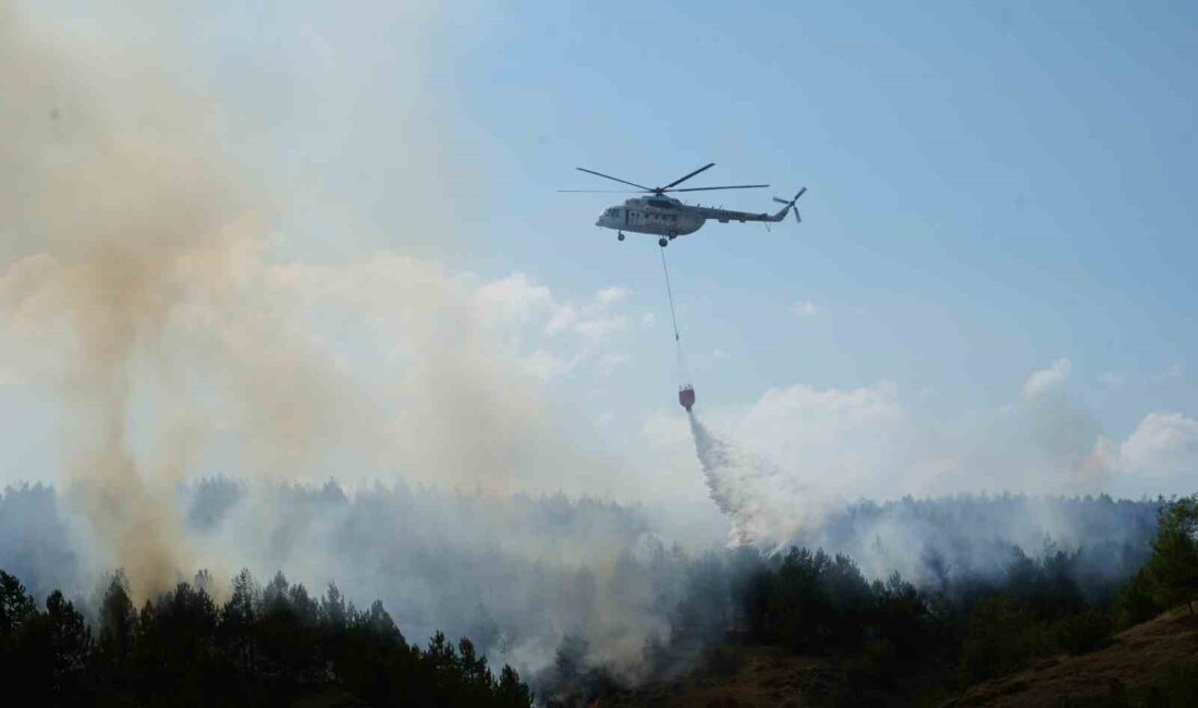 KASTAMONU'DA ÇIKAN ORMAN YANGININA