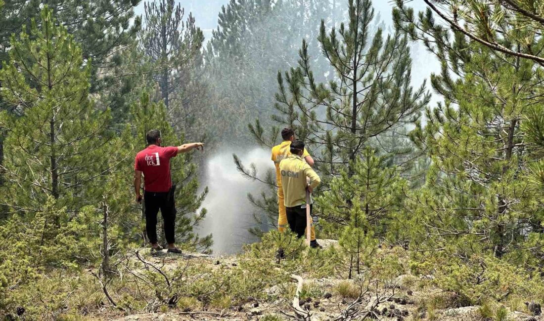 KASTAMONU'NUN İHSANGAZİ VE AZDAVAY