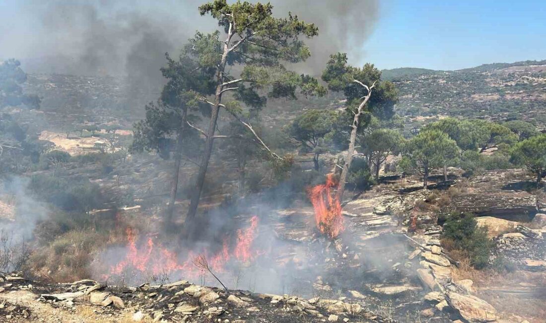 MUĞLA'NIN KAVAKLIDERE İLÇESİ DEDELER