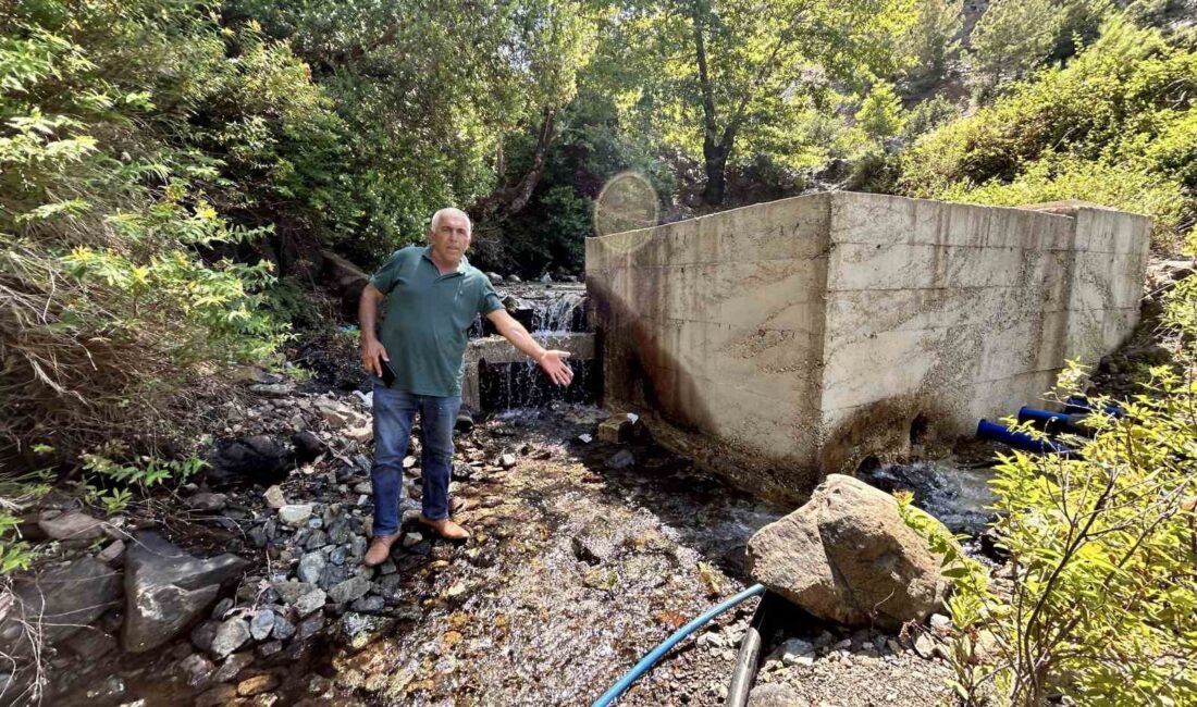 HATAY'IN ARSUZ İLÇESİNDE DAĞDAN